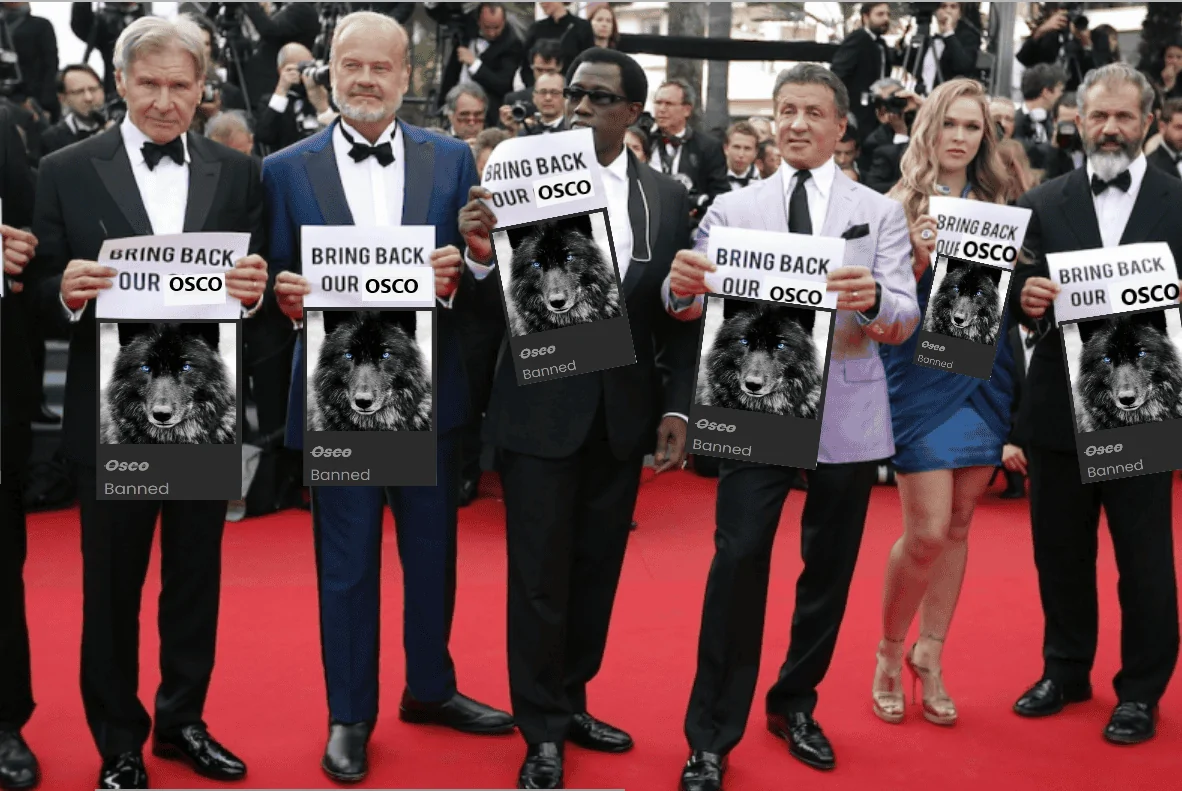 Windshield and rear wipers 2021+ Ford Bronco Sport Forum