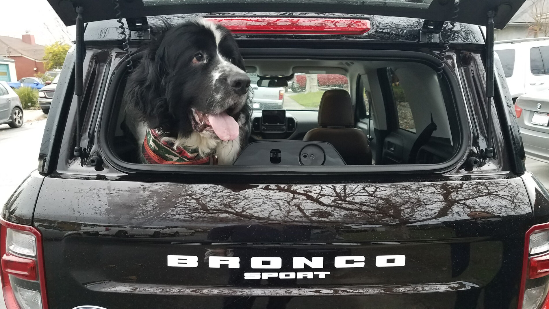 Ford Bronco Sport Bronco Sport cargo dimensions ? 20201225_145957_resized