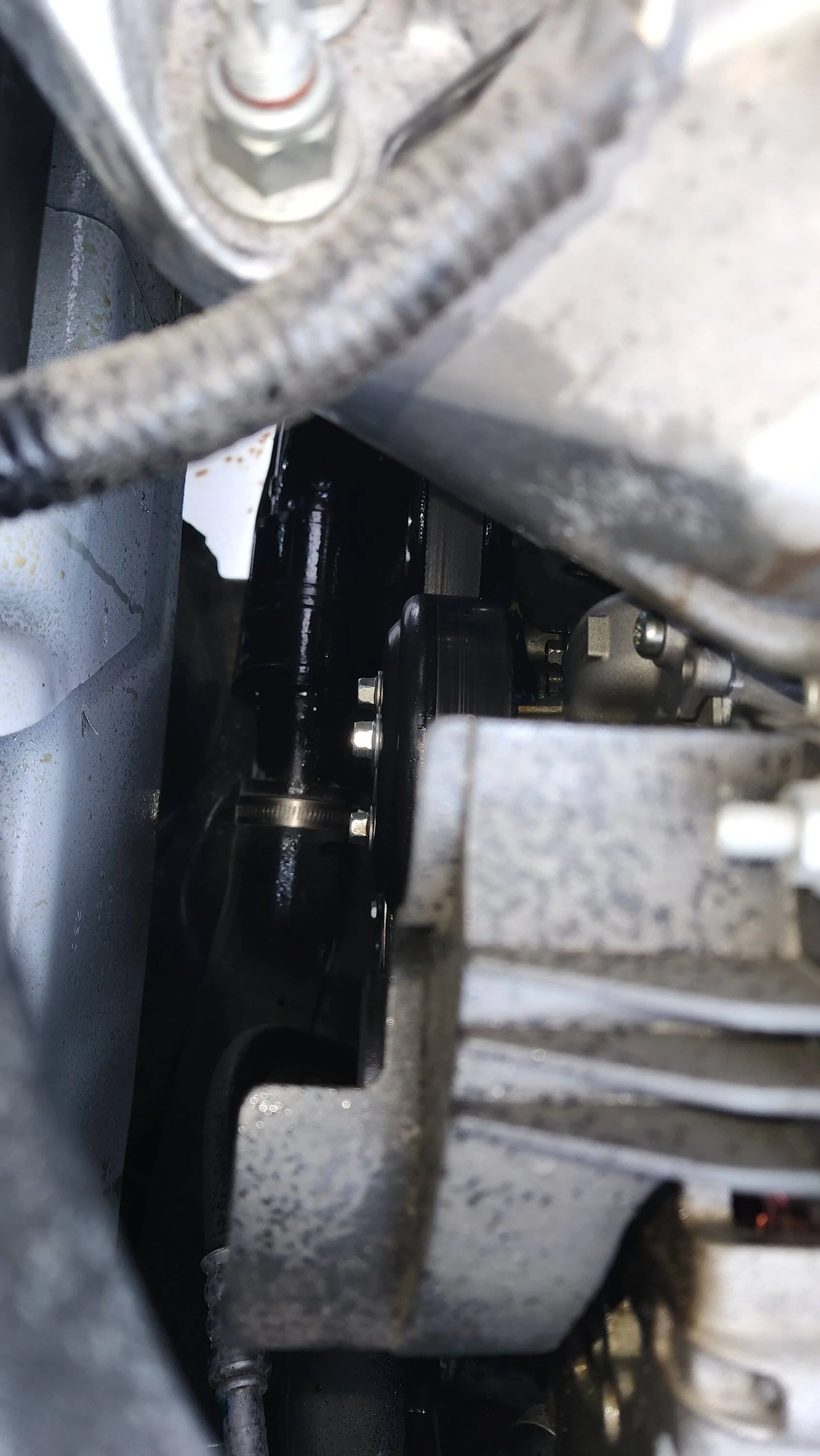 Crank Seal failure on a 2022 1.5L OBX 2021+ Ford Bronco Sport Forum