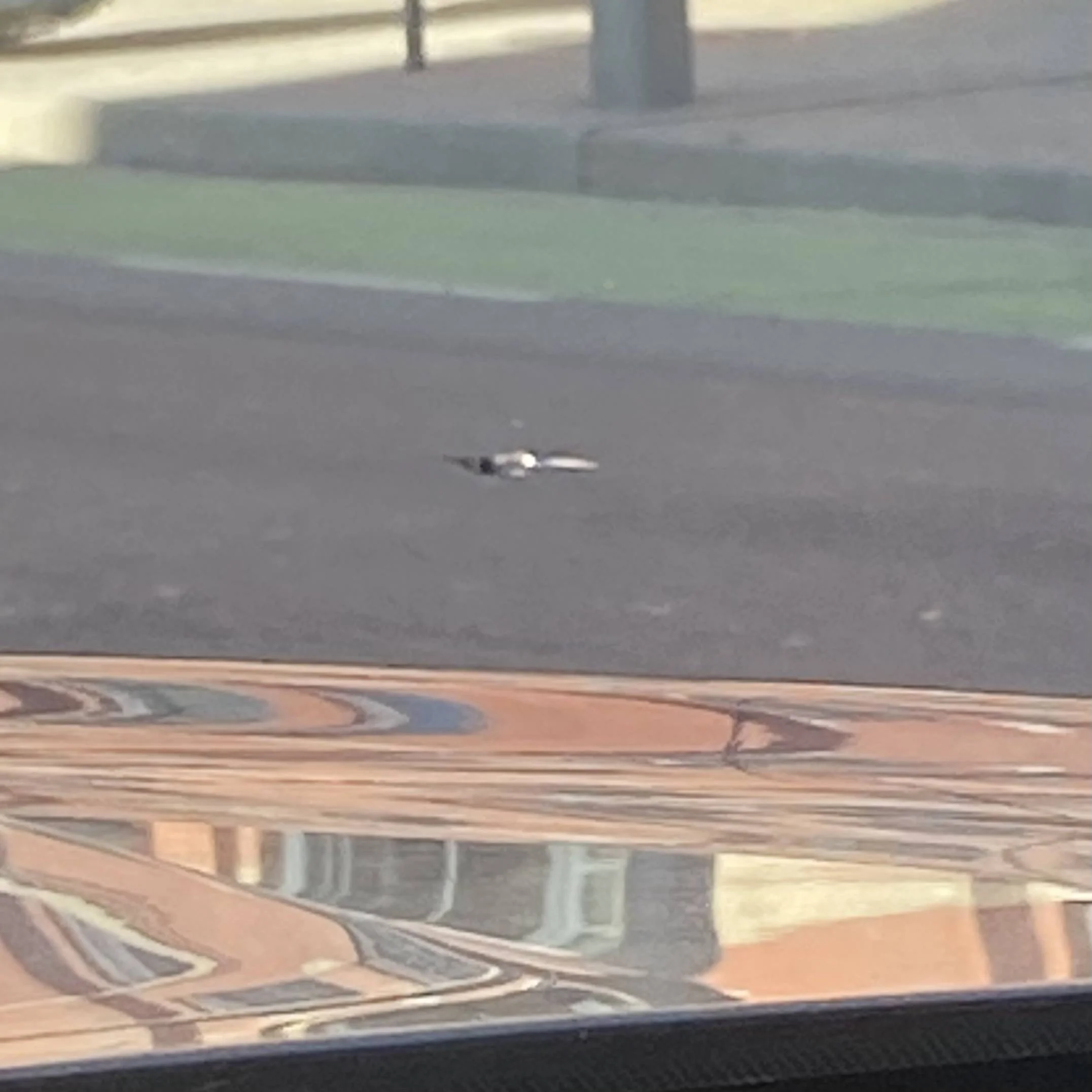 Bronco Sport Windshield Integrity 2021+ Ford Bronco Sport Forum