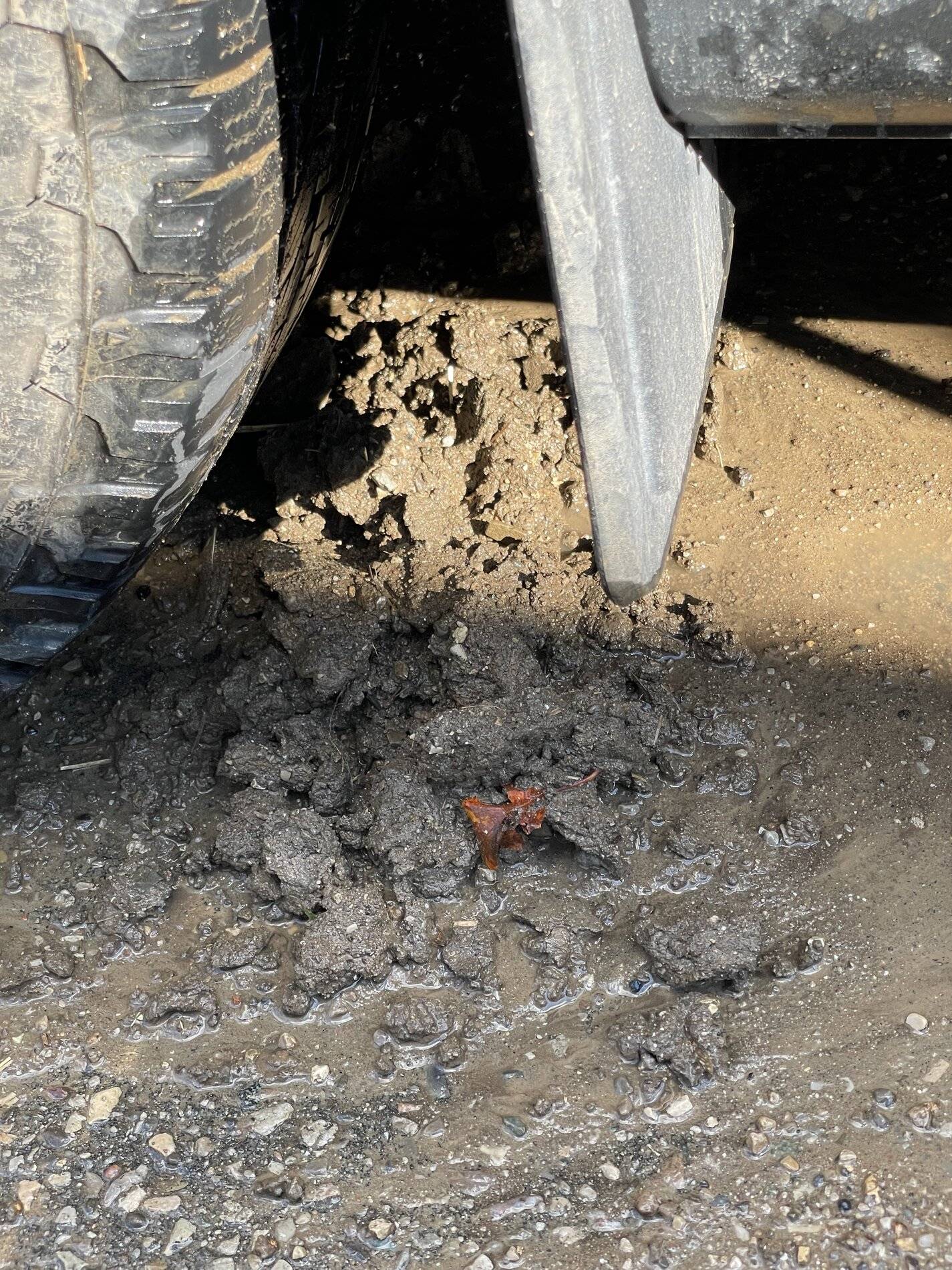 Carpeted wheel wells are dumb 2021+ Ford Bronco Sport Forum