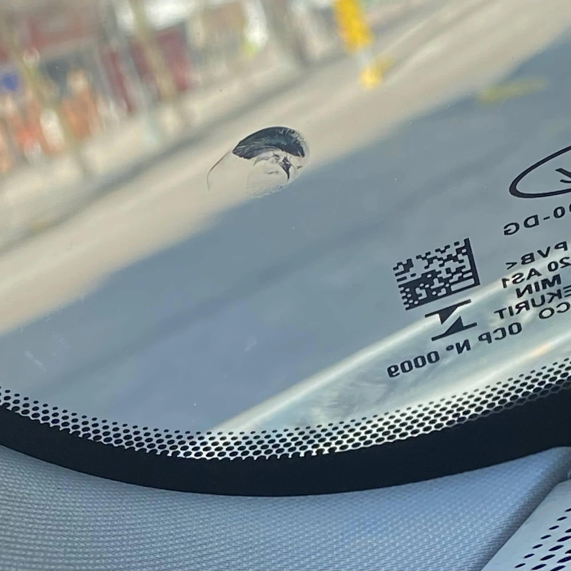 Bronco Sport Windshield Integrity 2021+ Ford Bronco Sport Forum