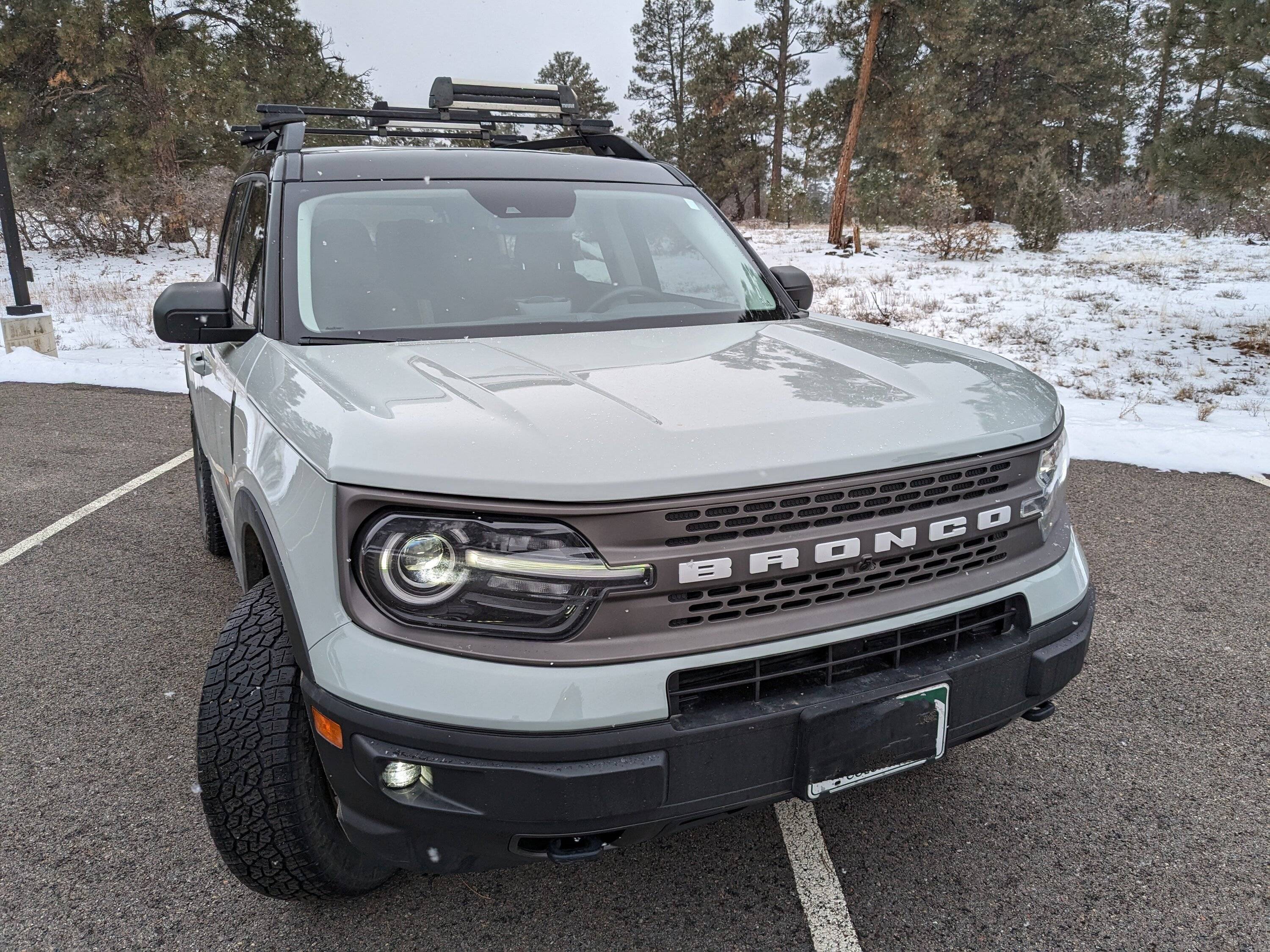 Help! Took my BS to a hand car wash and niw I'm afraid my grill is
