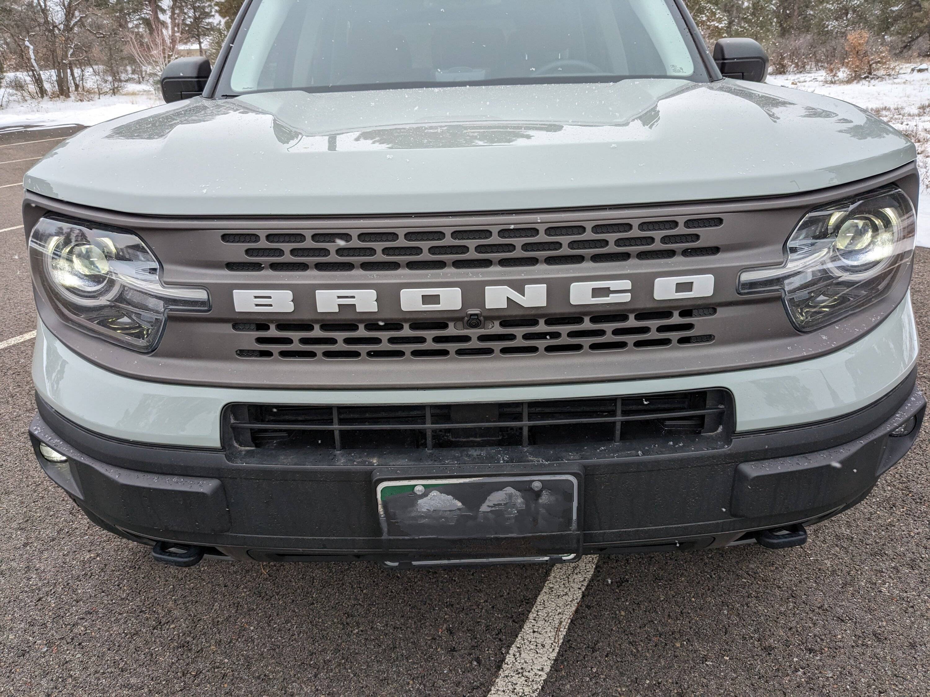 Help! Took my BS to a hand car wash and niw I'm afraid my grill is