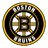 bostonbruinsfan