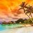 tropical2022